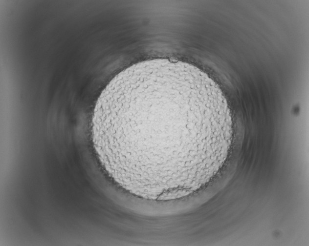 X0000116420034201001191459