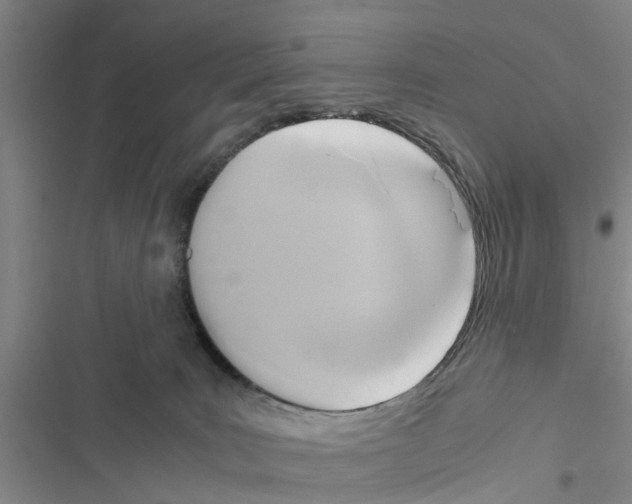 X0000116420035201001191459