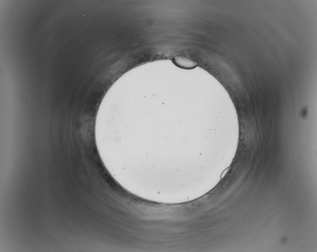 X0000116420036201001191459