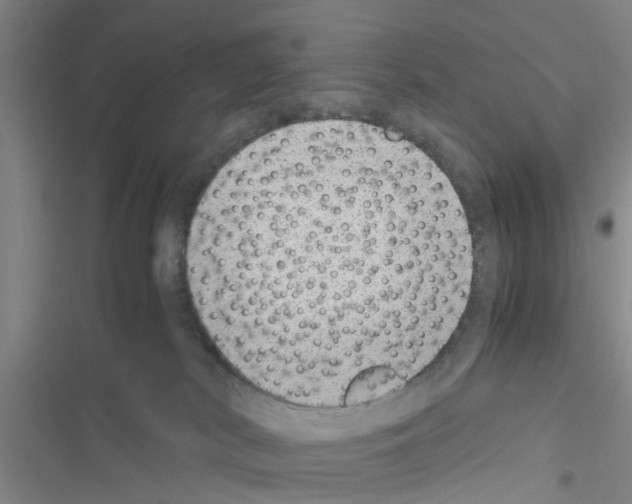 X0000116420038201001191459