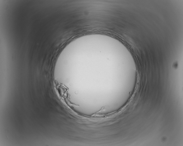 X0000116420039201001191459
