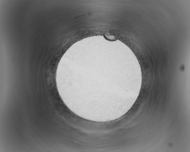 X0000116420040201001191459