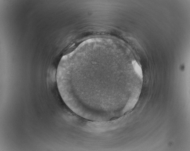 X0000116420041201001191459