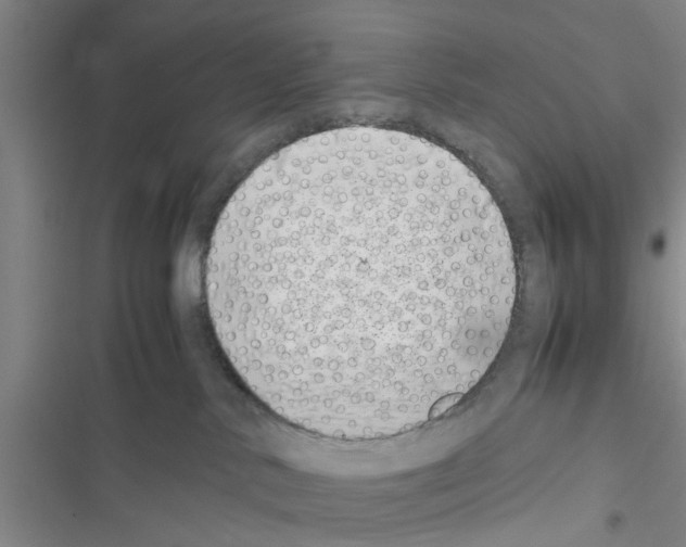 X0000116420042201001191459