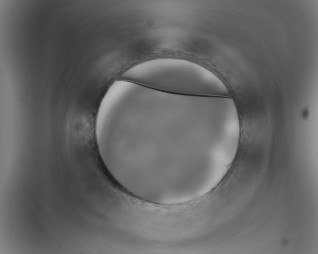 X0000116420043201001191459
