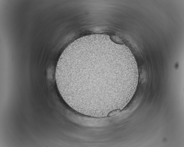 X0000116420044201001191459