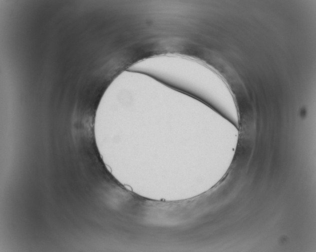 X0000116420045201001191459