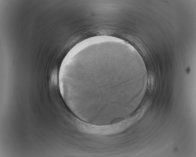 X0000116420046201001191459