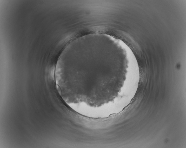 X0000116420047201001191459