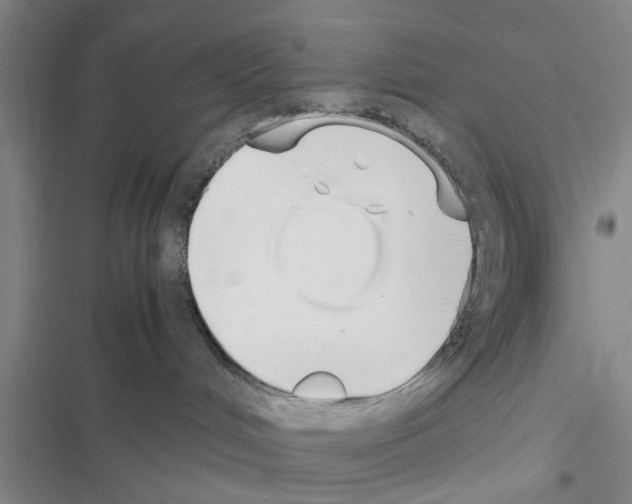 X0000116420048201001191459