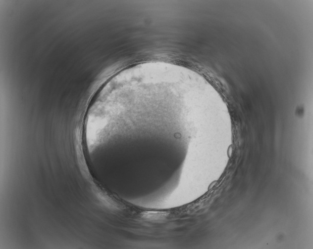X0000116420051201001191458