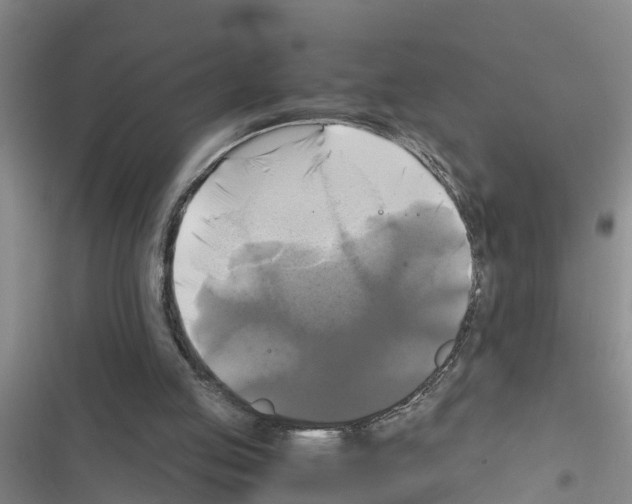 X0000116420053201001191458