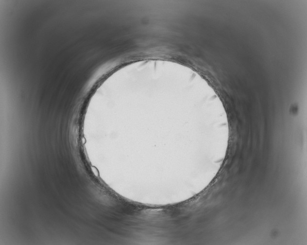 X0000116420054201001191458