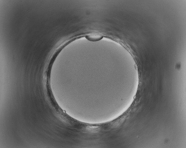 X0000116420055201001191458