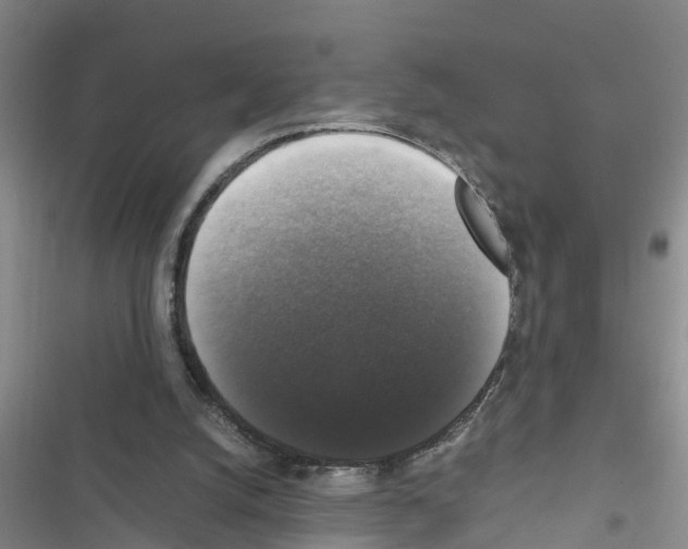 X0000116420056201001191458