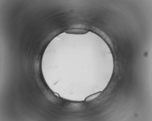 X0000116420057201001191458