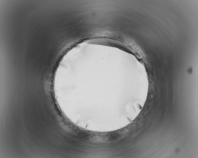 X0000116420058201001191458