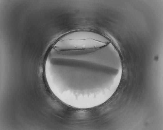 X0000116420059201001191458