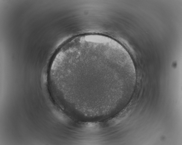 X0000116420060201001191458