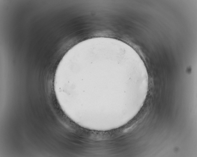 X0000116420061201001191458