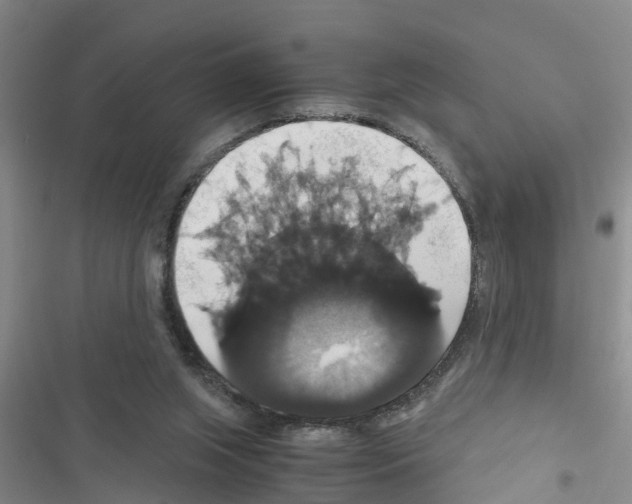 X0000116420063201001191458