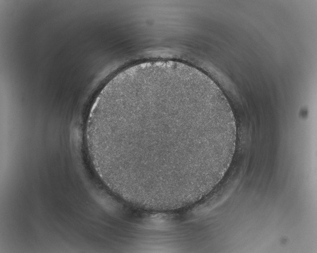 X0000116420064201001191458