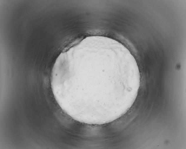 X0000116420065201001191458