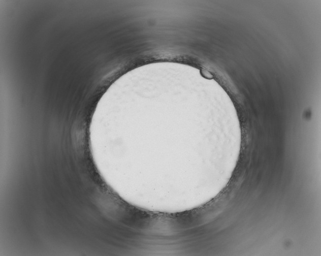 X0000116420066201001191458