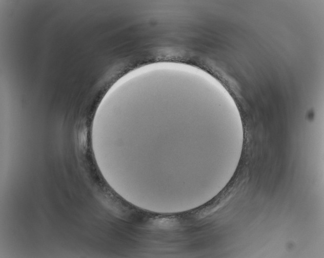 X0000116420067201001191458