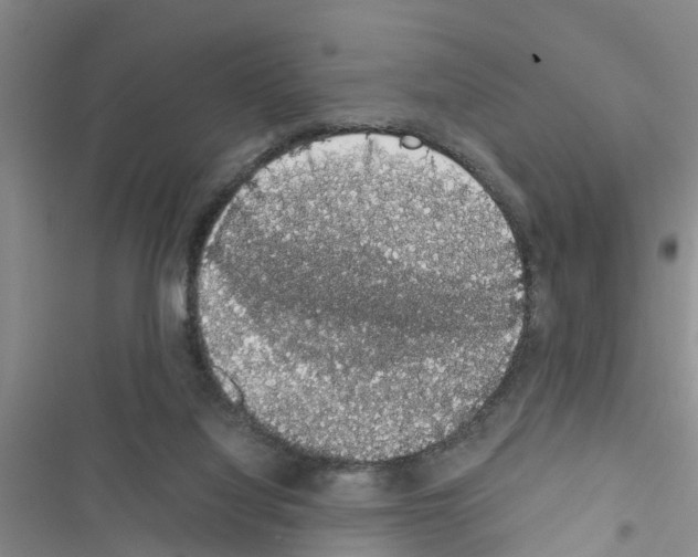 X0000116420068201001191458