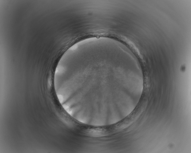 X0000116420069201001191458
