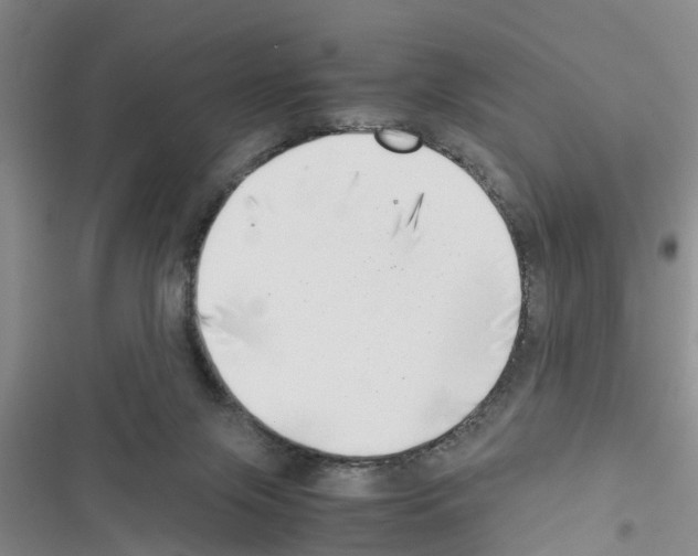 X0000116420071201001191459