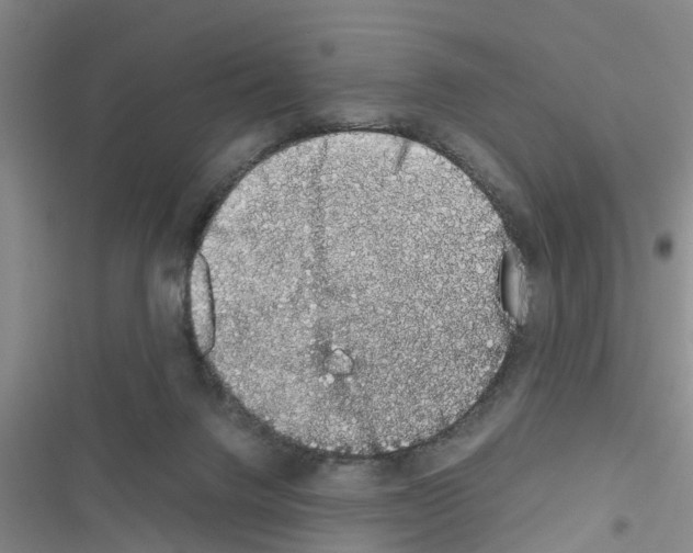 X0000116420072201001191459