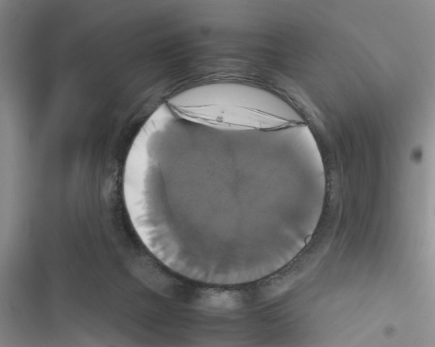 X0000116420073201001191459