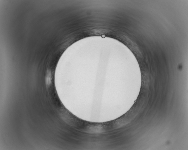 X0000116420075201001191459