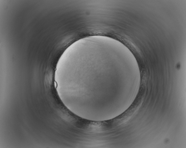 X0000116420076201001191459