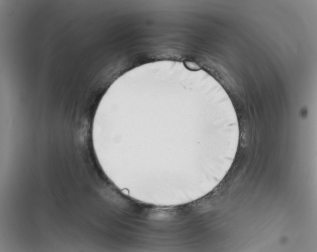 X0000116420077201001191459