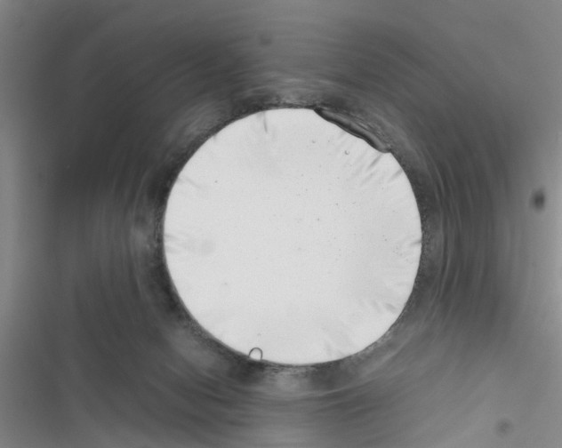 X0000116420078201001191459
