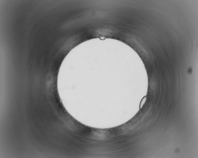 X0000116420079201001191459