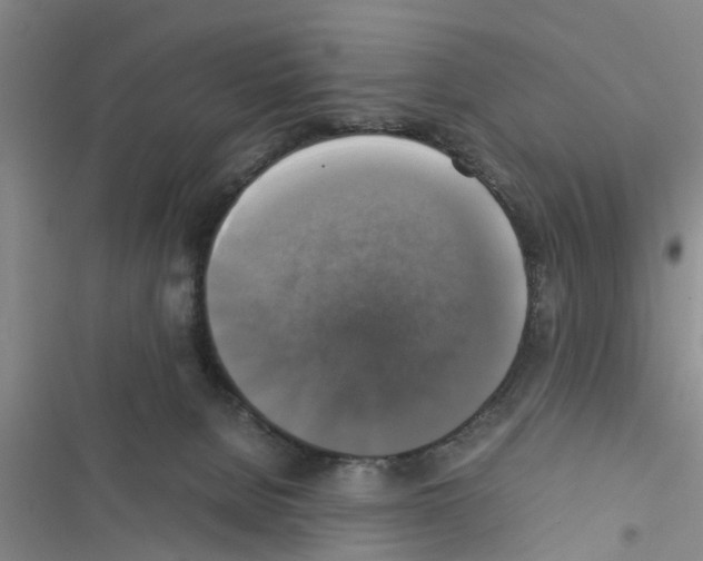 X0000116420080201001191459