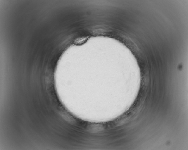 X0000116420081201001191459