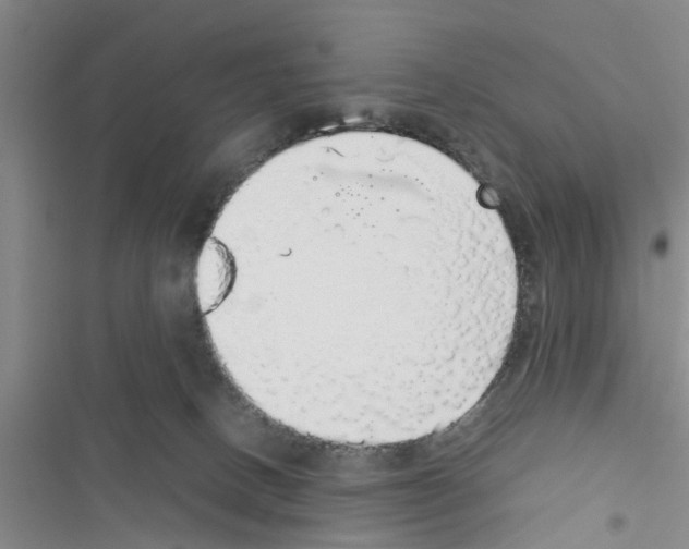 X0000116420082201001191459