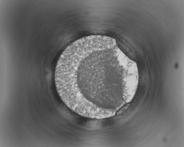X0000116420084201001191459