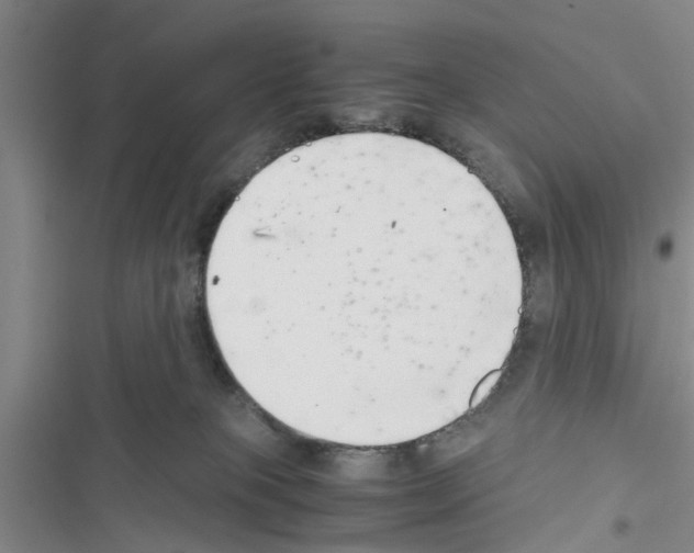 X0000116420085201001191459