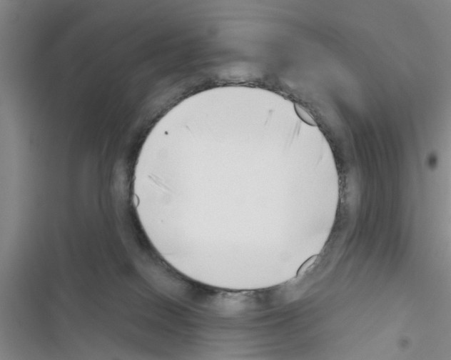 X0000116420086201001191459