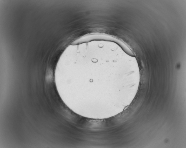 X0000116420089201001191459