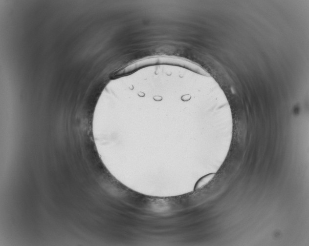 X0000116420091201001191459