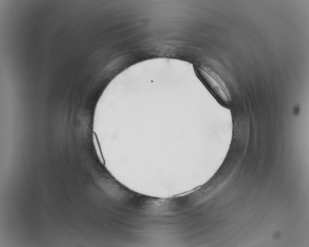 X0000116420092201001191459
