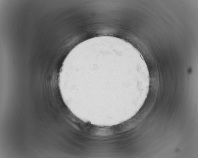 X0000116420093201001191459