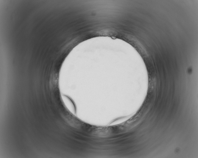X0000116420095201001191459